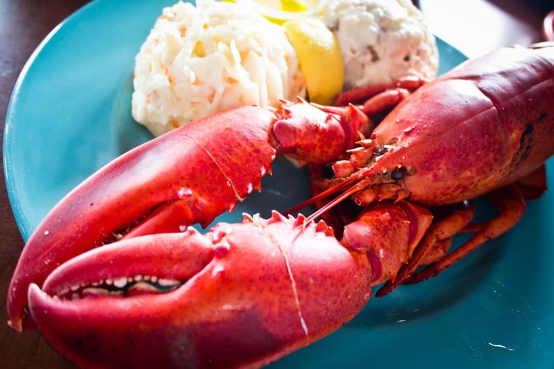 The Ultimate Lobster Experience Vancouver Chef Matt Dean Pettit