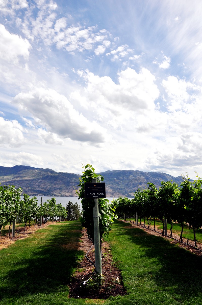 Mission Hill Winery Estate Okanagan Kelowna Summerland BC Nomss Instanomss Food Photography Travel Lifestyle Canada