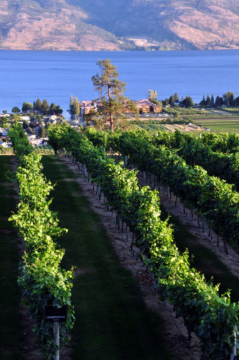 Mission Hill Winery Estate Okanagan Kelowna Summerland BC Nomss Instanomss Food Photography Travel Lifestyle Canada