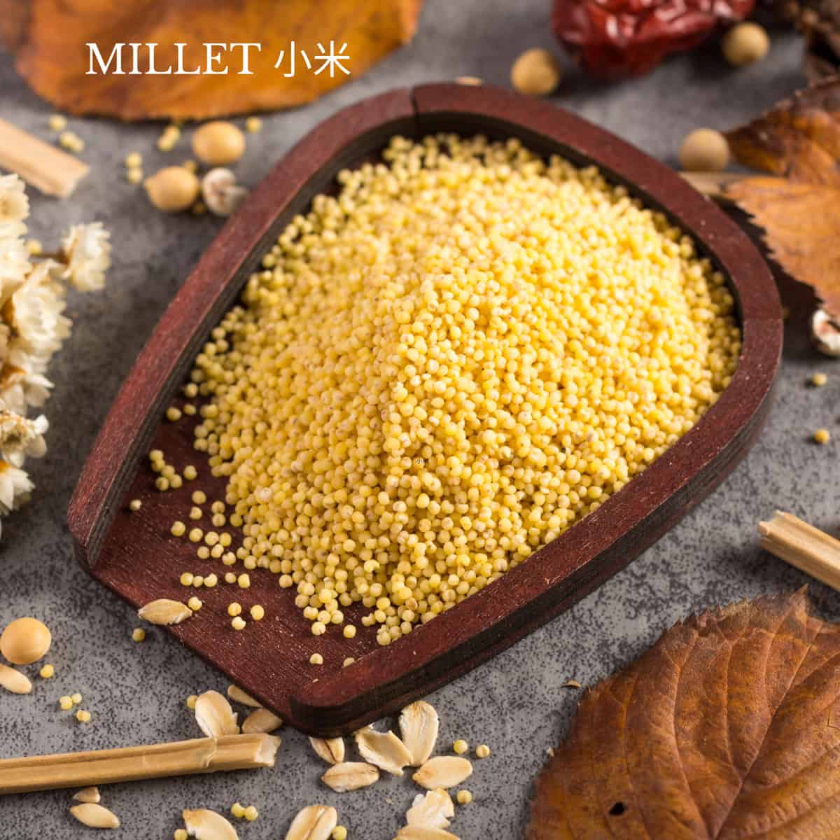 MILLET GRAIN 小米