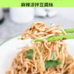 Chinese Mala Bean Curd Noodles Cold Salad 麻辣涼拌豆腐絲