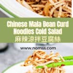 Chinese Mala Bean Curd Noodles Cold Salad 麻辣涼拌豆腐絲