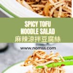 Chinese Mala Bean Curd Noodles Cold Salad 麻辣涼拌豆腐絲