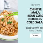 Chinese Mala Bean Curd Noodles Cold Salad 麻辣涼拌豆腐絲