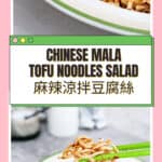 Chinese Mala Bean Curd Noodles Cold Salad 麻辣涼拌豆腐絲