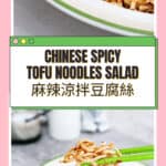 Chinese Mala Bean Curd Noodles Cold Salad 麻辣涼拌豆腐絲