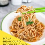 Chinese Mala Bean Curd Noodles Cold Salad 麻辣涼拌豆腐絲